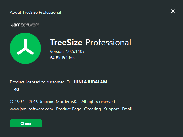 TreeSize Professional v9.1.0.1868 Crack Serial Key Full Version 2024