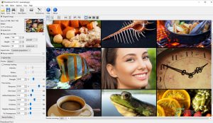 Benvista PhotoZoom Pro 8.2.2 Crack With Activation Key Latest Version